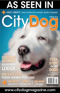 As Seen in CityDog Magazine